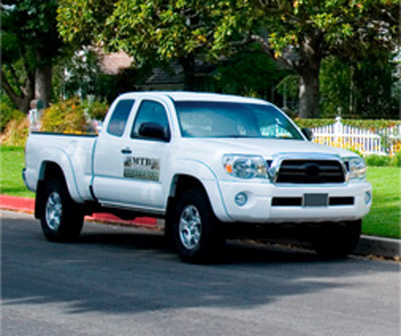 1 | Mtb Pest Control
