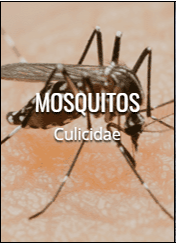 7 | Mtb Pest Control