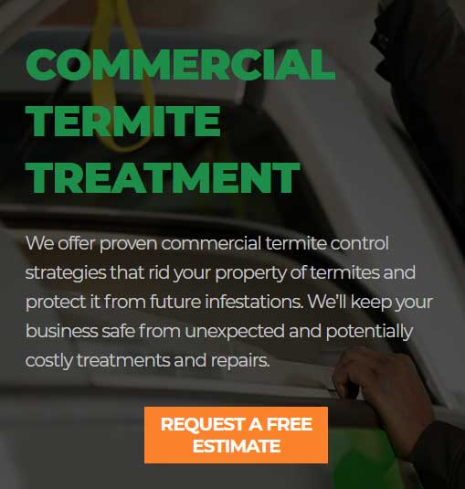 commercial termite treatment