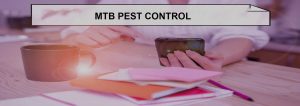 mtb pest control