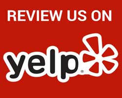 write yelp review