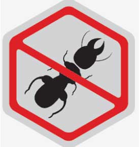 termite control silver spring