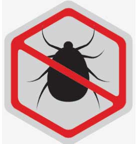 silver spring bed bugs