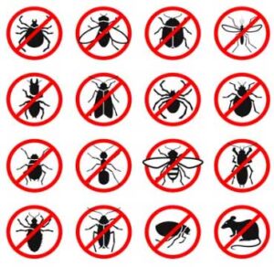 affordable pest control