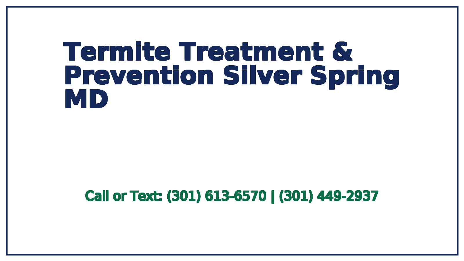 termite treatment  prevention silver spring md