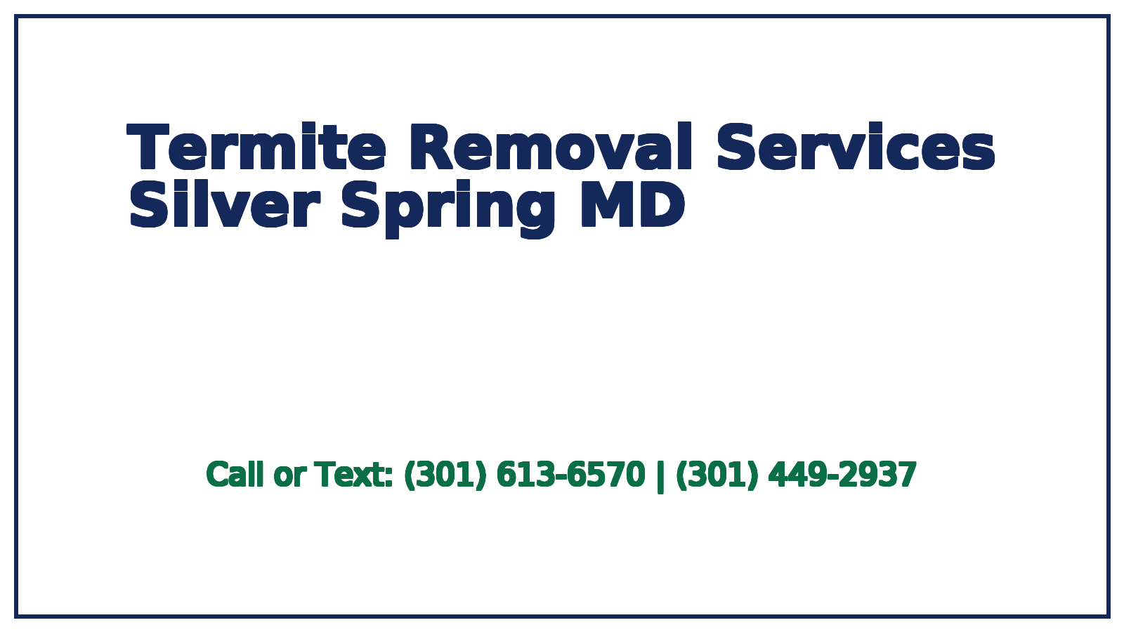 termite removal services silver spring md