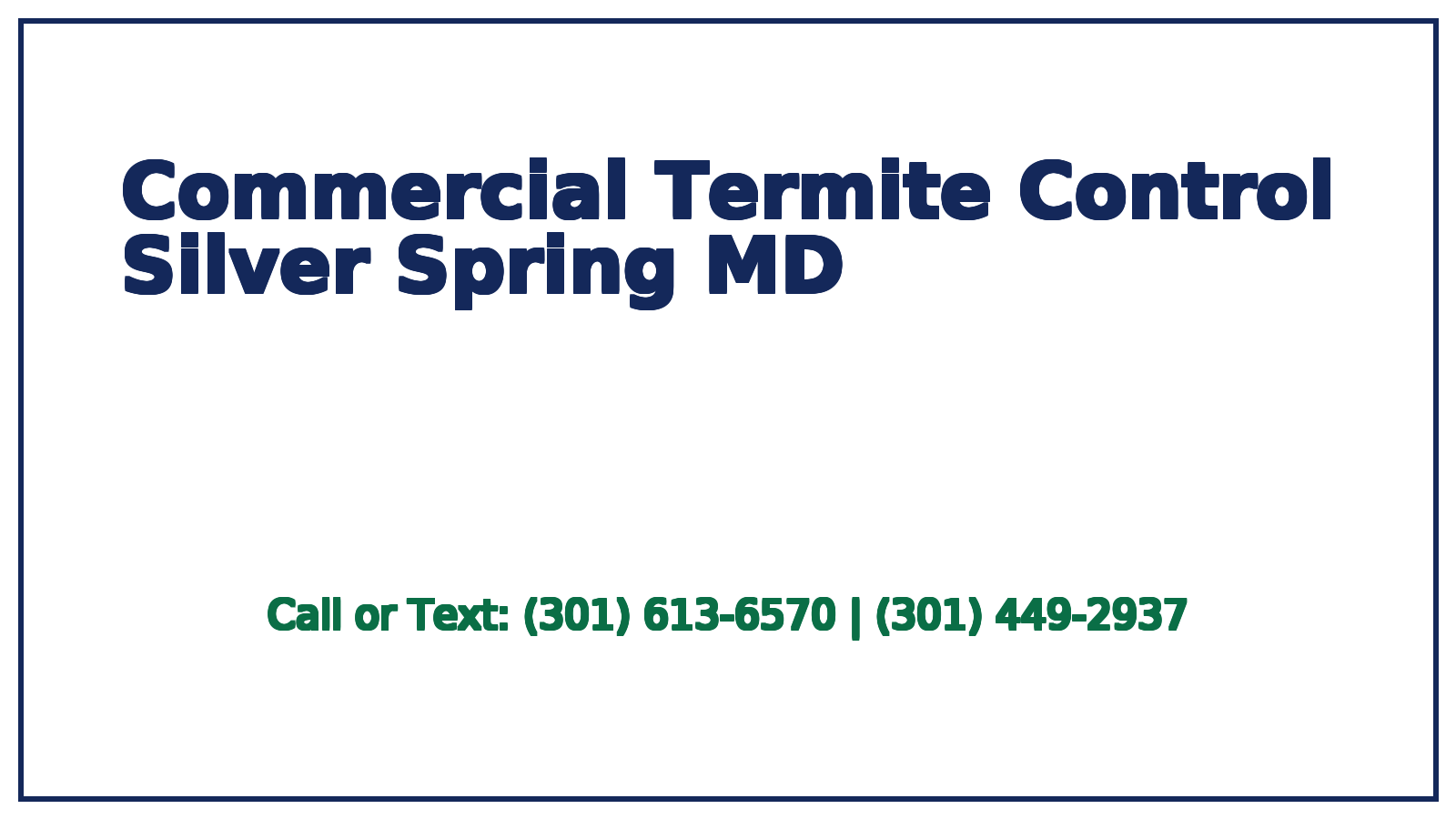commercial termite control silver spring md