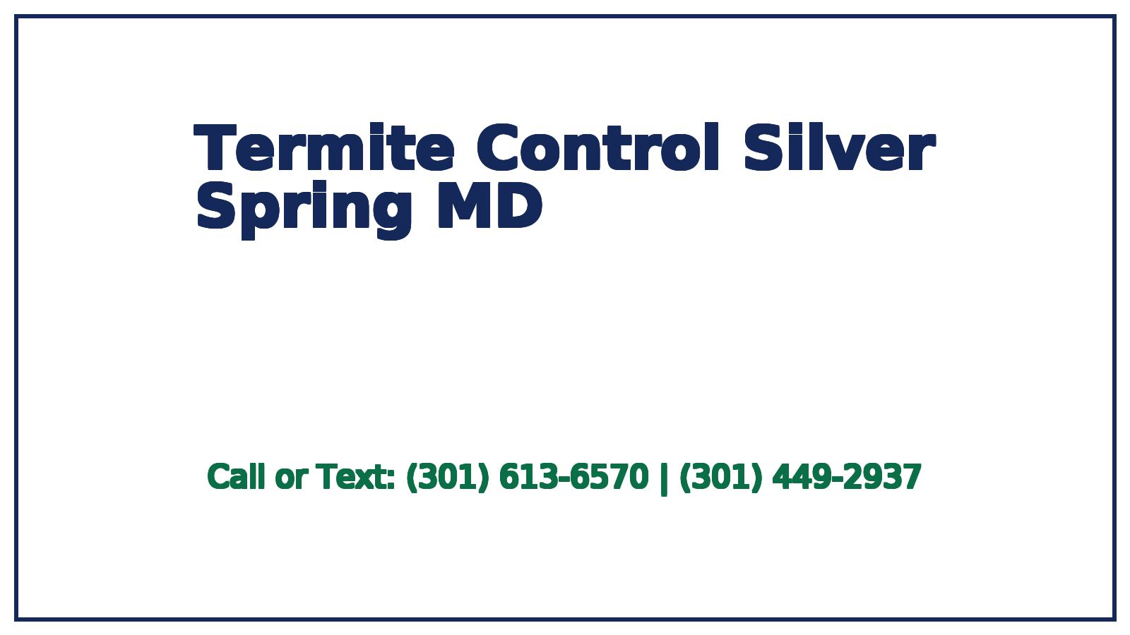 termite control silver spring md
